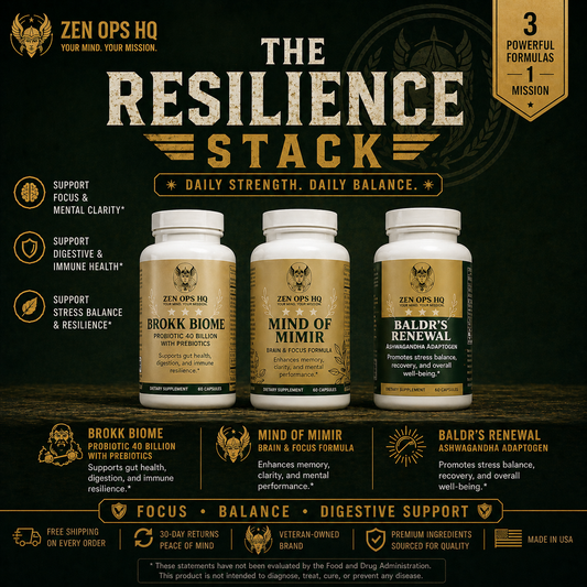 The Resilience Stack